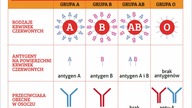 Zagadka zniknięcia Neandertalczyka Kuna: Pochodzenie Genów Europa Część 4