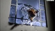 Komisarz Rex S05E04 (Przegrany)