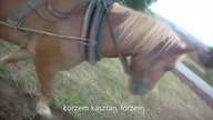 Polski kmiot