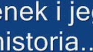 Zenek