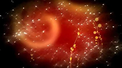 wesele a1i 2500mb/s 1080 upscaling SI ślub Andrzej misiarz z izabelą to jest oszustwo gówno warte