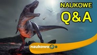 Co by było gdyby dinozaury przetrwały wymieranie? Plany na 2020 rok - NaukoweQ&A #8