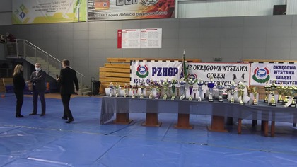 Mistrzostwa PZHGP Okręgu Wałbrzych rozdanie nagród 2021 r.
