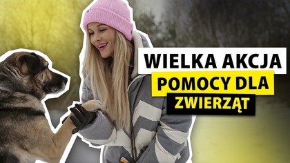 GWIAZDY RUSZYŁY NA POMOC ZWIERZĘTOM.  6 TON KARMY TRAFIŁO DO SCHRONISK!