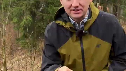 Sok brzozowy  najlepszy moment!