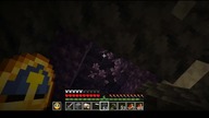 I dont know why I collect amethyst, but ok #game #minecraft #Short #Shorts