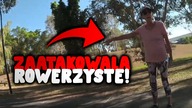STARSZA KOBIETA ATAKUJE ROWERZYSTĘ