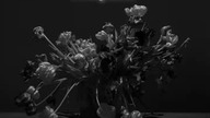 In Mitra Medusa Inri * Gone Too Soon