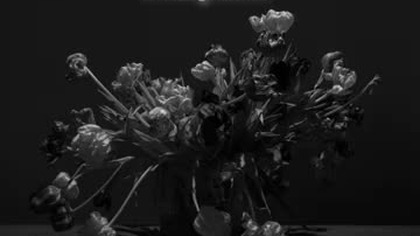 In Mitra Medusa Inri * Gone Too Soon