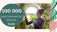 100 000 Uratowanych roślin tzn subskrybcji :) Podsumowanie kanału 