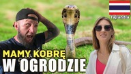 Nasz dom w Tajlandii.  Mamy PROBLEM! Kobra w ogrodzie! (Remont ciąg dalszy)