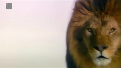 Ewolucja - 07 - Komunikacja