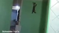 Koty Parkour