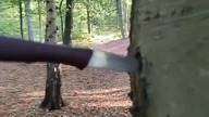 Orkowie Depczą nam po piętach! Zielonoskórzy w lasach Khorinis i Koszalina! Orkowie Depczą!