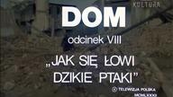8) DOM  pięknisty, mądry polski serial ...