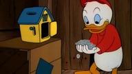 Kaczor Donald - Urodziny Donalda (1949)