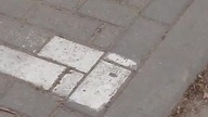 parking do wynajęcia...