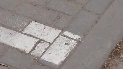 parking do wynajęcia...