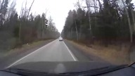 Nigdy nie wiesz co Cię spotka na drodze