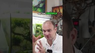 Gotowe akwapaludarium, porównujemy rodzaje szkła.
