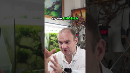 Gotowe akwapaludarium, porównujemy rodzaje szkła.