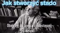 produkcja stada