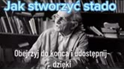 produkcja stada