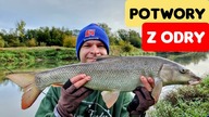 346 POTWORY Z ODRY !!! SKACZĄCA RZEKA