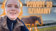 DLACZEGO ZMIENILIŚMY STAJNIĘ? *powrót do Szumawy*
