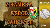 Z KAMERĄ WŚRÓD AFER ŚLĄSKA | Tetrycy