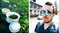 Herbata z Nowej Zelandii Oolong. VLOG Czajnikowy.pl