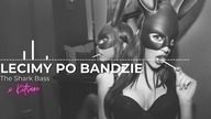 THE SHARK BASS x KITSUNE - Lecimy po bandzie (prod.  WLVSKY x Foyon)