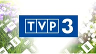 Urywek bufora TVP3