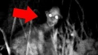 5 Tajemniczych Stworzeń Uchwyconych Na Kamerze