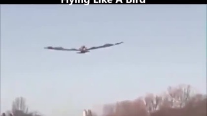 Fly like a bird
