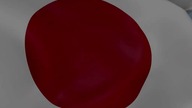 Prefektura Yamanashi
