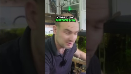 Akwarium na ziemi ogrodowej  Ryzykowny start czy sukces? 