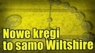 Kolejne kręgi w zbożu odkryte w Anglii