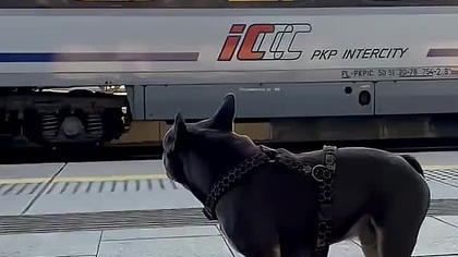 Kiedy czekasz na pociąg.