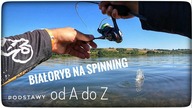 Od A do Z // BIAŁORYB NA SPINNING // 2023