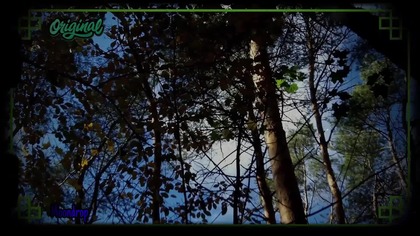 BiSTRO Electrique.  YouTubki.  (Muzyczny).  LiX-LiX.