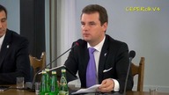 F. Wolnościowe cz. III - Synergia działań wolnościowych organizacji trzeciego sektora - współpraca