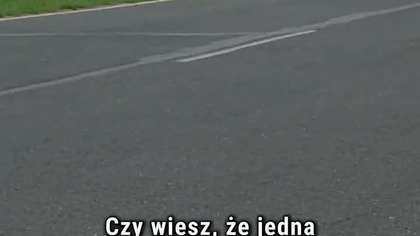 MŁODE WILKI to ujęcie nakręcono w 15 minut? #mlodewilki #JanNowicki #JaroslawJakimowicz