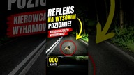 Jeż na drodze, noc i ułamki sekund na reakcję.  Udało się!  #kierowcy #jeż #noc #droga