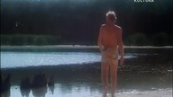 KOŁOWATY (1983)