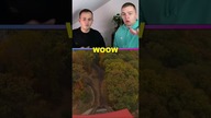 Najlepsze rollercoastery na świecie! #shorts