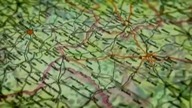 Po co ćwiczenia ZAPAD??Tajna,ukryta armia agentów KGB/FSB. Rosja od Władywostoku po Lizbone.