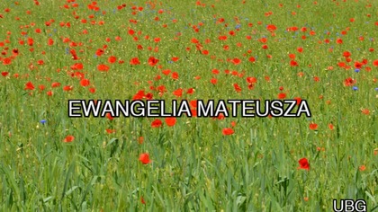 1.  UBG - Ewangelia Mateusza