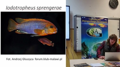  Łacina w akwarystyce 