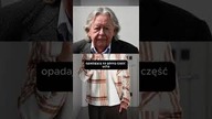 Uszy jak radary?